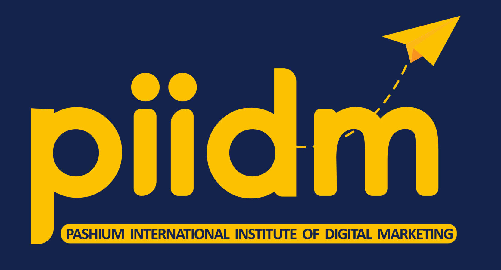 piidm logo 1 01 scaled